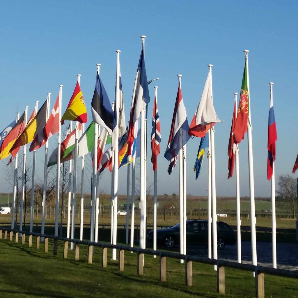 ESA Member State flags and blue sky